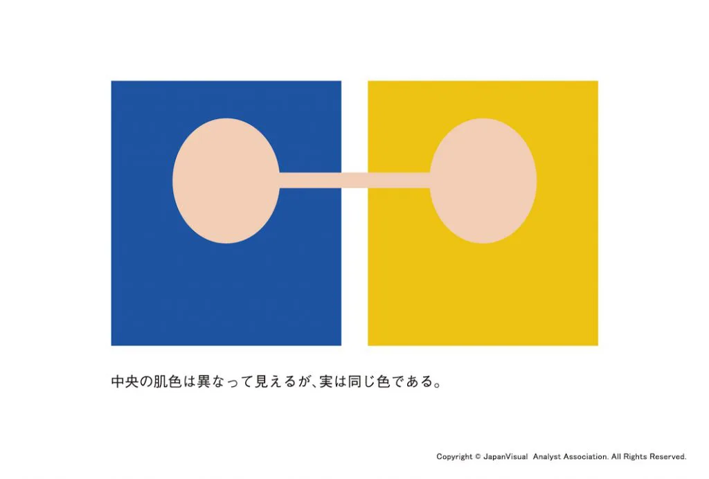 アルファ式 似合う色診断の根拠と理論 スタジオアルファ